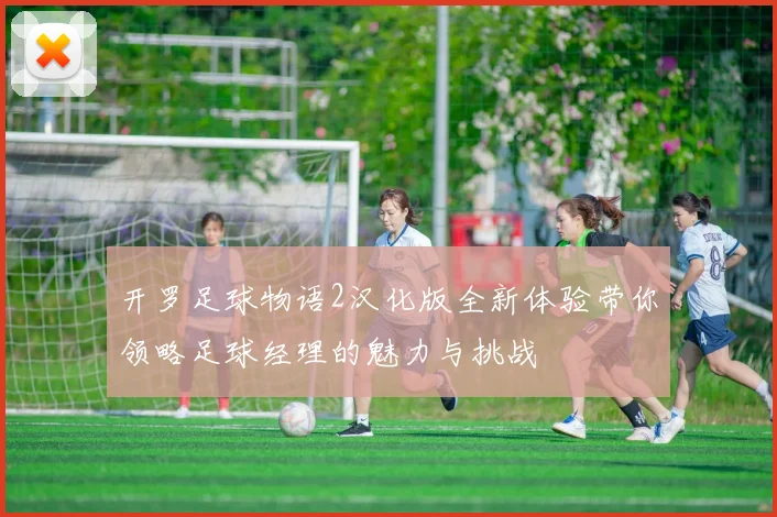 开罗足球物语2汉化版全新体验带你领略足球经理的魅力与挑战