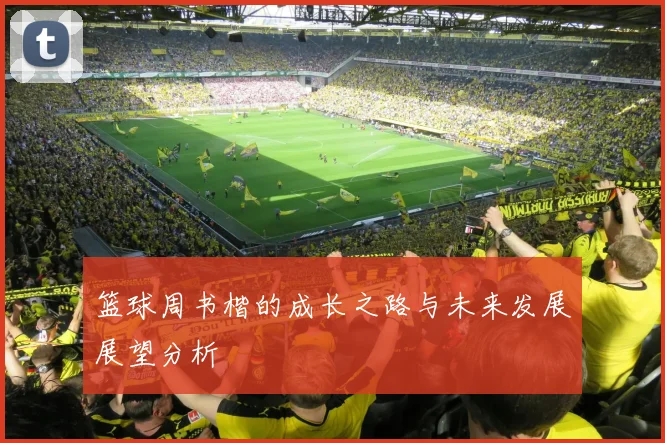 篮球周书楷的成长之路与未来发展展望分析