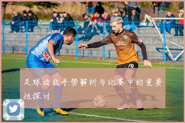 足球边裁手势解析与比赛中的重要性探讨