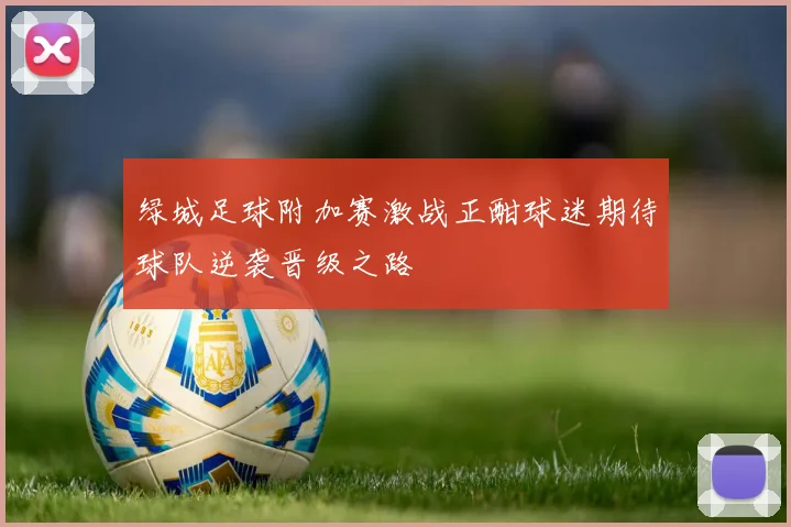 绿城足球附加赛激战正酣球迷期待球队逆袭晋级之路