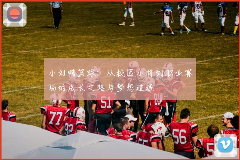小刘鸭篮球：从校园小将到职业赛场的成长之路与梦想追逐