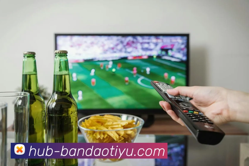 BANDAO SPORTS服务体系